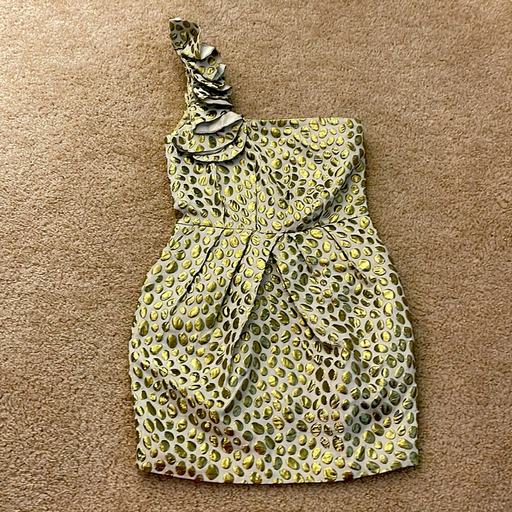aryn K. one shoulder dress size S